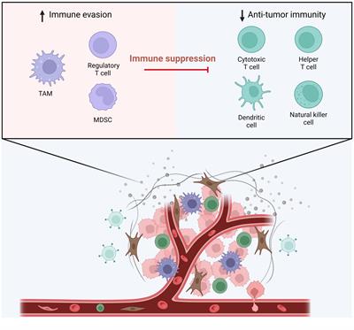 Editorial: Harnessing tumor microenvironment for gynecologic cancer therapy